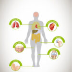 Silicon: Nutritional Value & Role in the Human Body