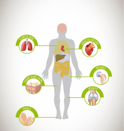 Silicon: Nutritional Value & Role in the Human Body