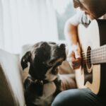 Singing to Dogs: Does Music Bond Owners & Pets?