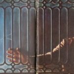 “Store-Bought Woman”: Understanding the Harmful Stereotype