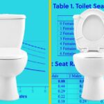 Toilet Seat Up or Down: Etiquette & Hygiene Guide