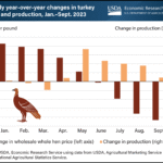 Turkey Prices 2023: How Much Does a Whole Bird Cost?