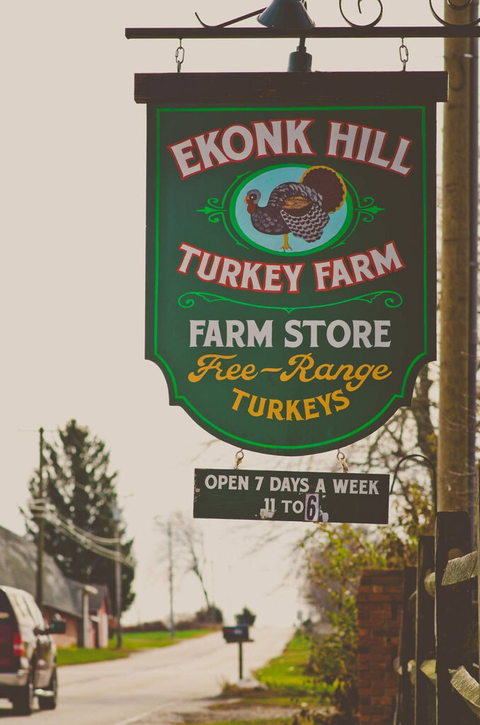 Turkeys Year-Round: Where to Buy & When