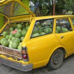 Watermelon Safety: Don’t Leave It in a Hot Car!