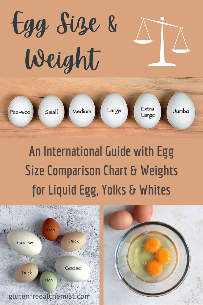 Weight of Two Eggs: How Much Do They Weigh?