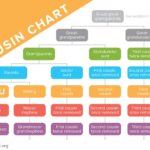 What Are Your Cousins’ Kids Called?  Nieces & Nephews!