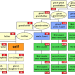 What Is Your Relationship to Your Grandmother’s Brother?