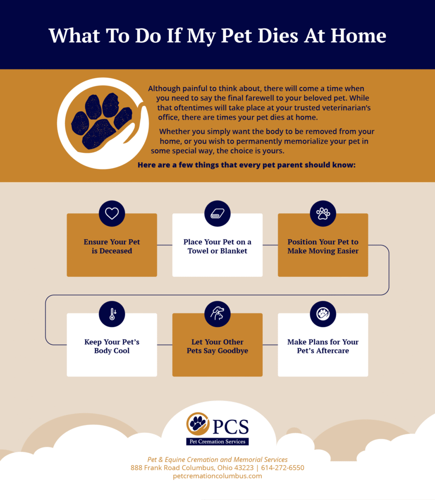 What To Do When Your Pet Dies At Home