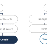 Who Is Your Grandmother’s Nephew? Family Ties Explained