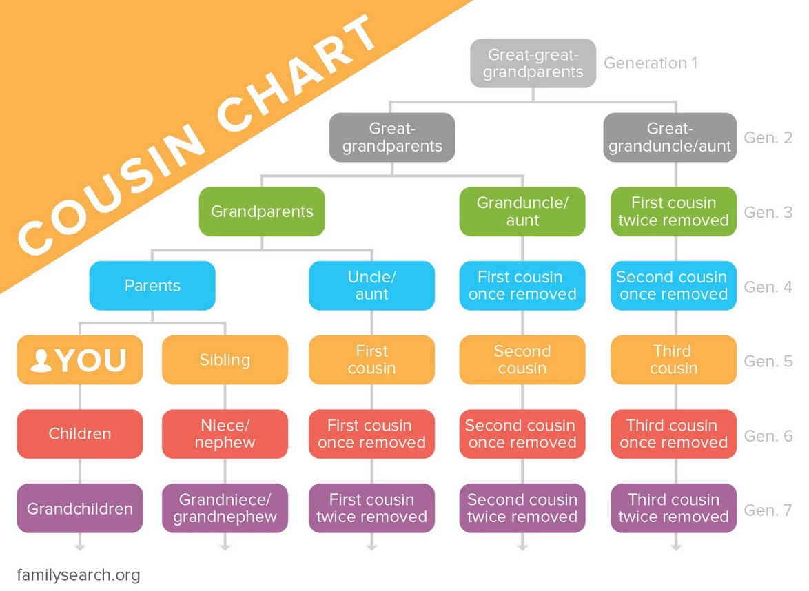Who Is Your Grandmother's Sister? Family Ties Explained